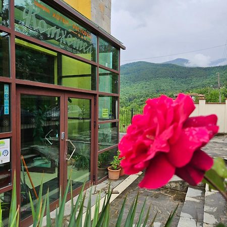 Family Hotel Komhotel ベルコヴィツァ エクステリア 写真